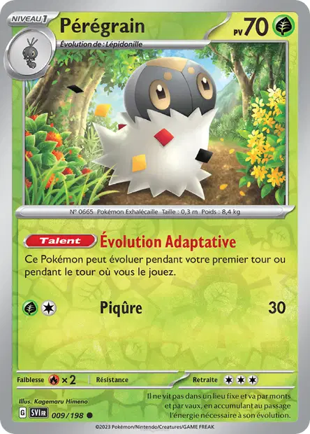 Pérégrain Reverse